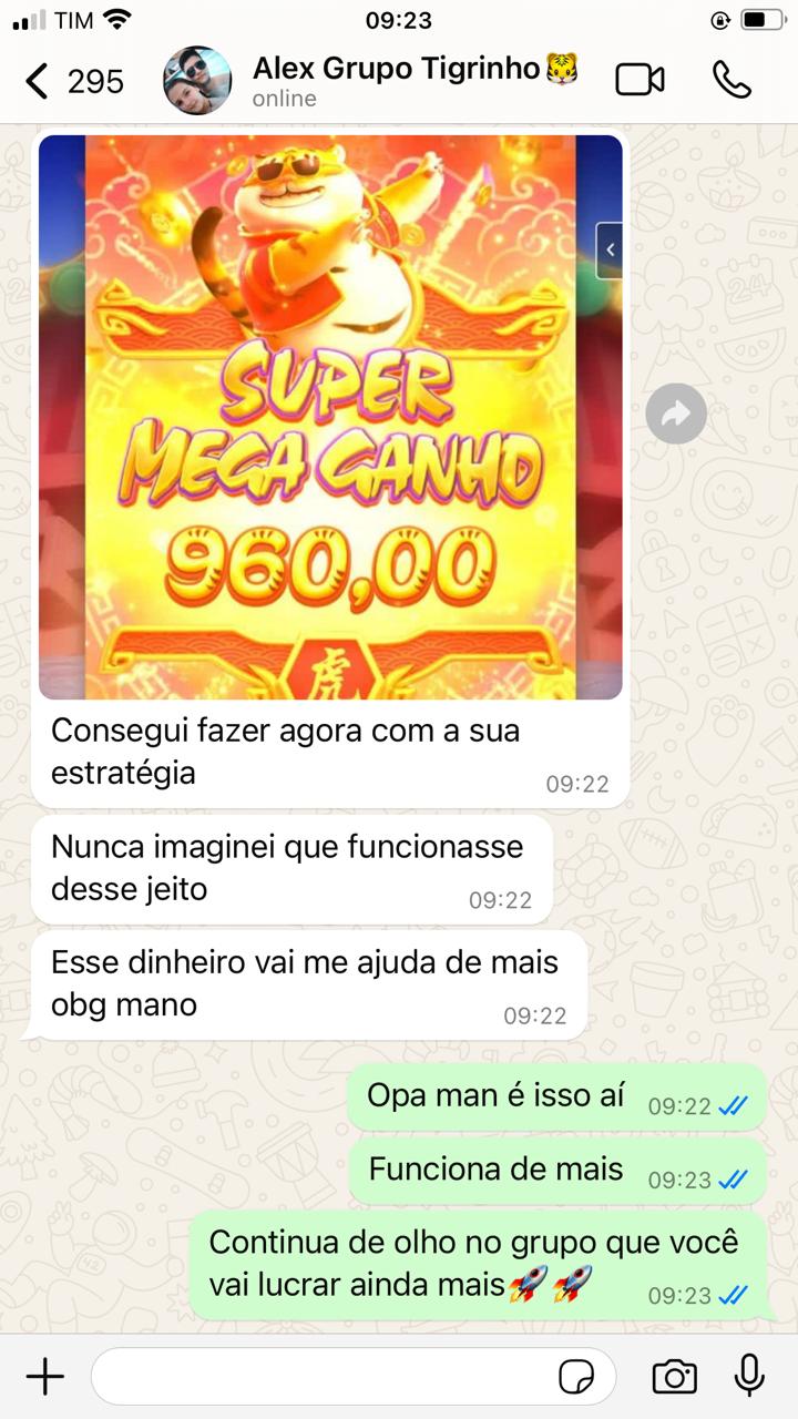Screenshot da LANÇAMENTO - TELA PG