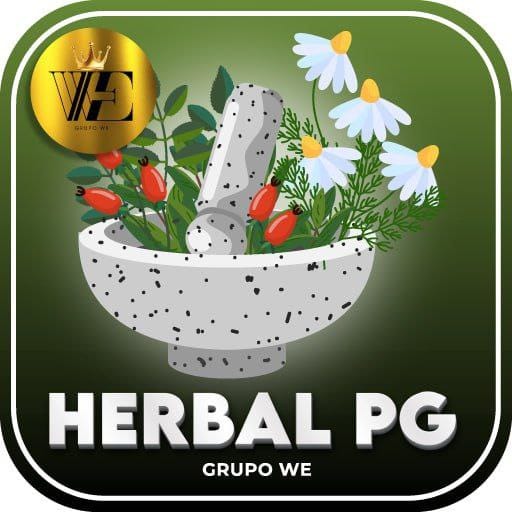 Logo da LANÇAMENTO - HERBAL PG: