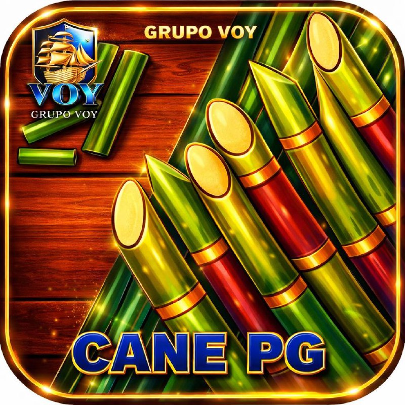 Logo da VOY-CANE-PG.COM