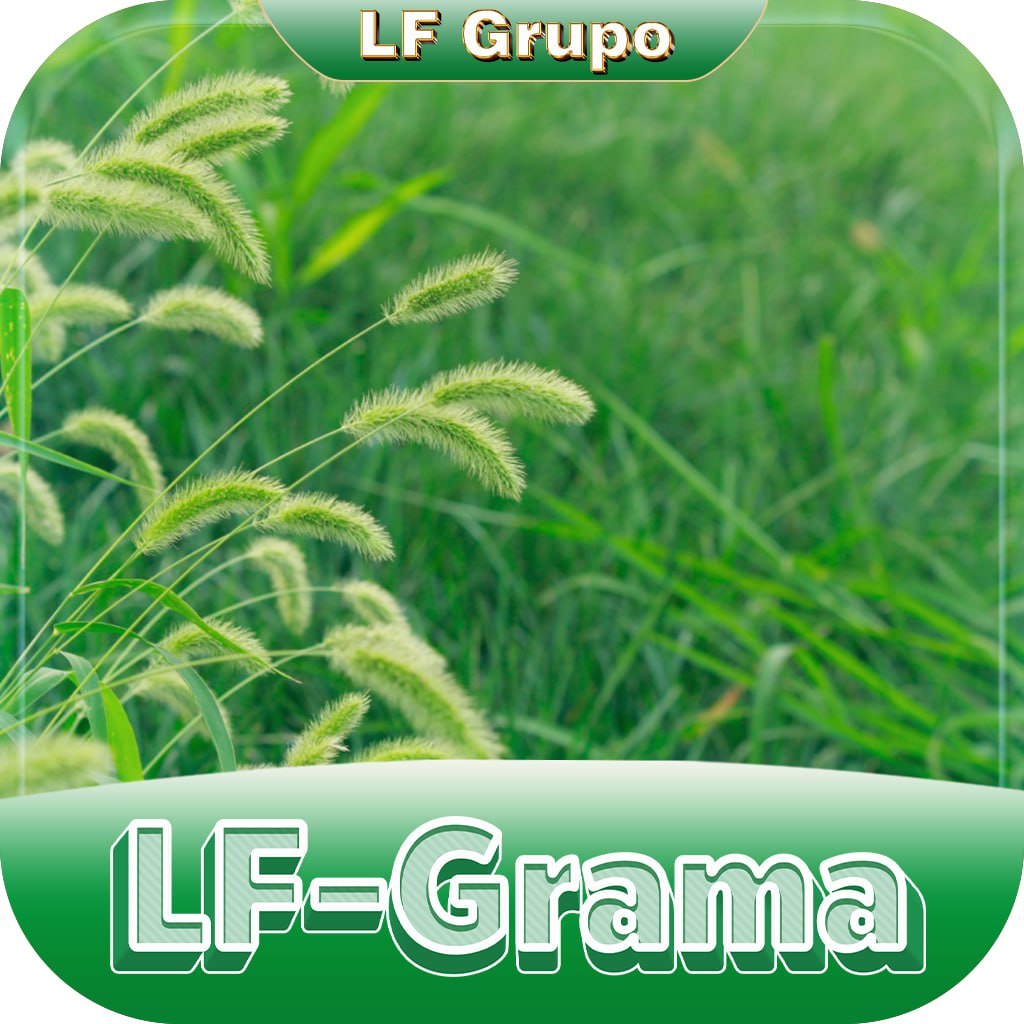 Logo da LF-GRAMA.COM