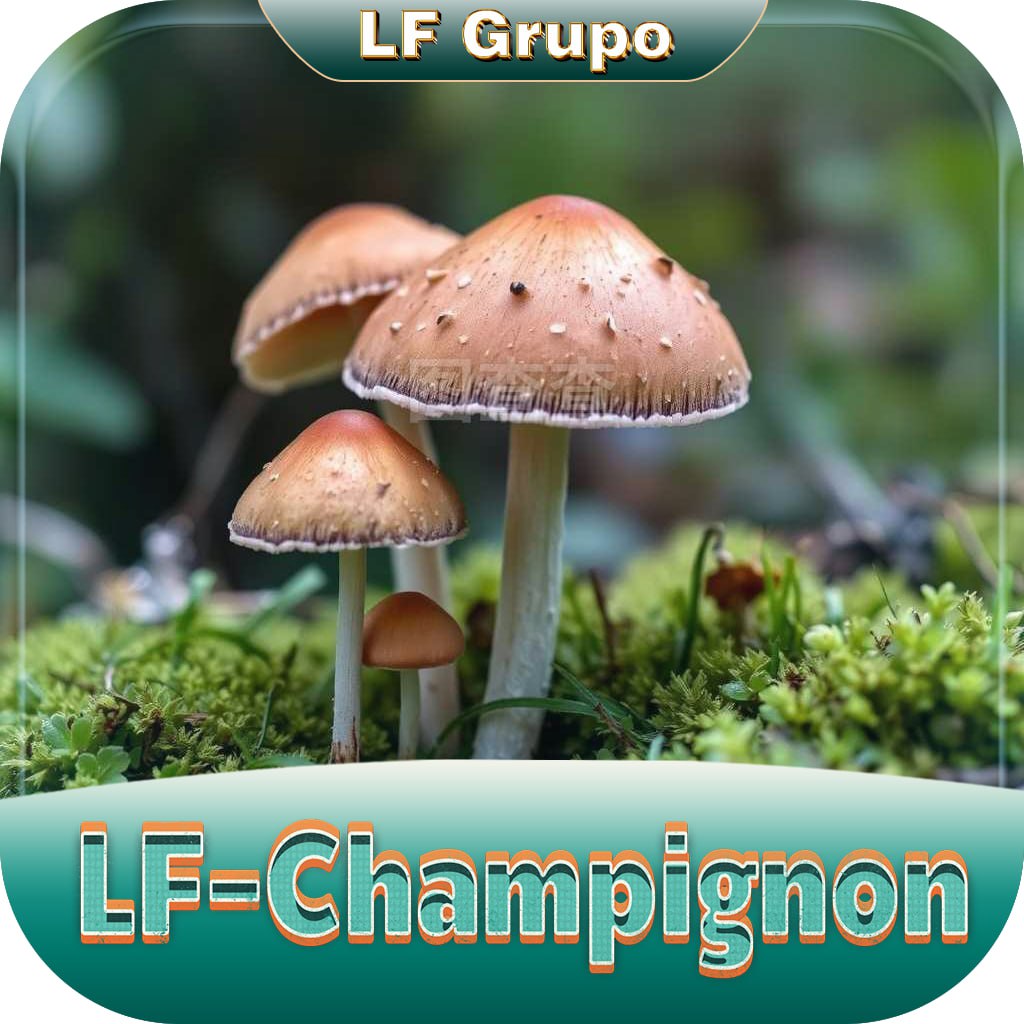 Logo da LF-CHAMPIGNON.COM